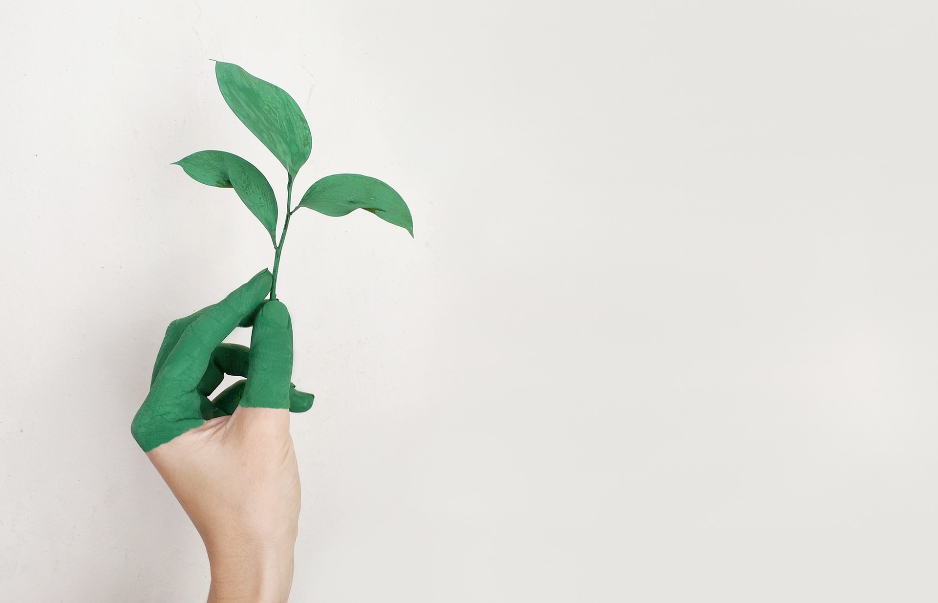content marketing pour les applications de mesure de l'empreinte écologique